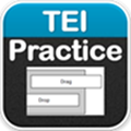 TEI Practice Logo